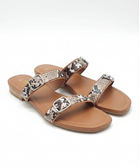 Desert Python Slides